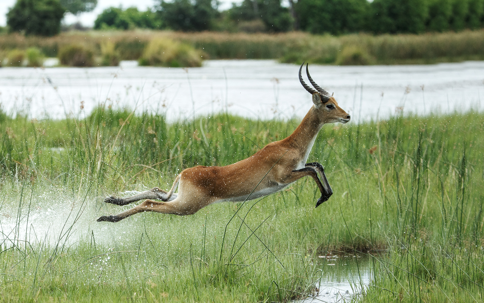 Intl. Wetlands Day