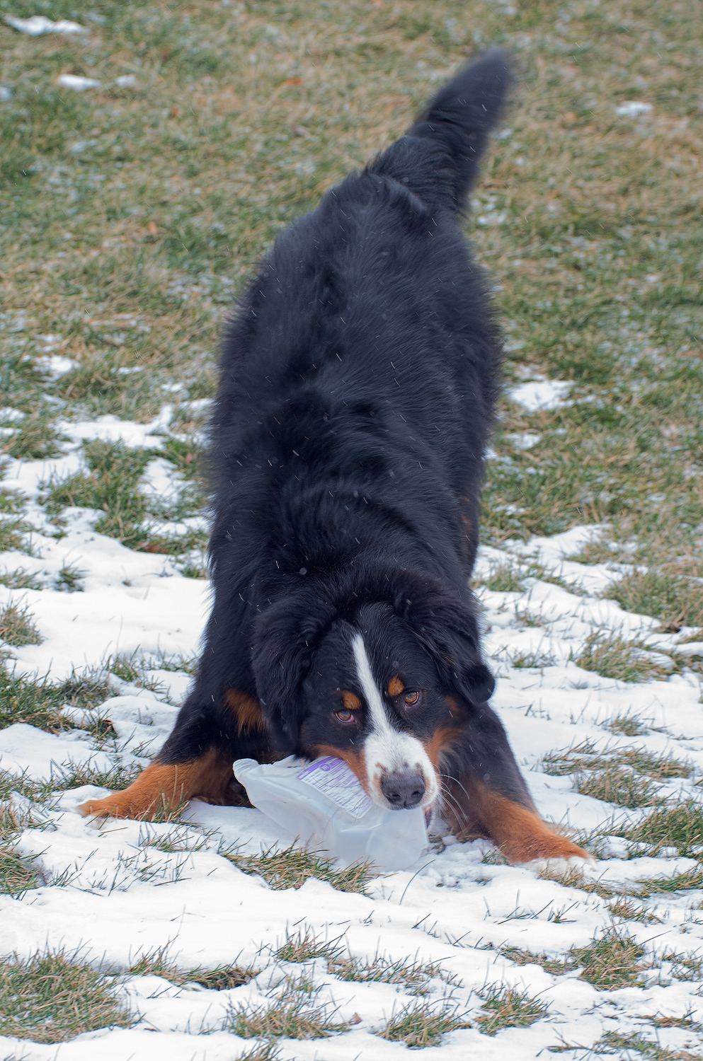 Come on & Play with Me