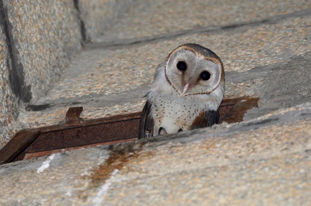 How's down there?