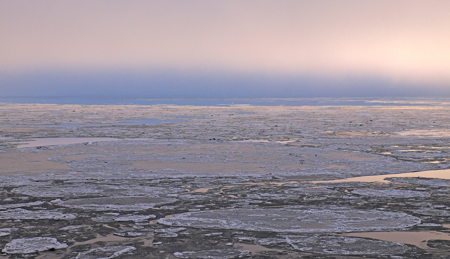Ice Mozaic Turnagain Arm