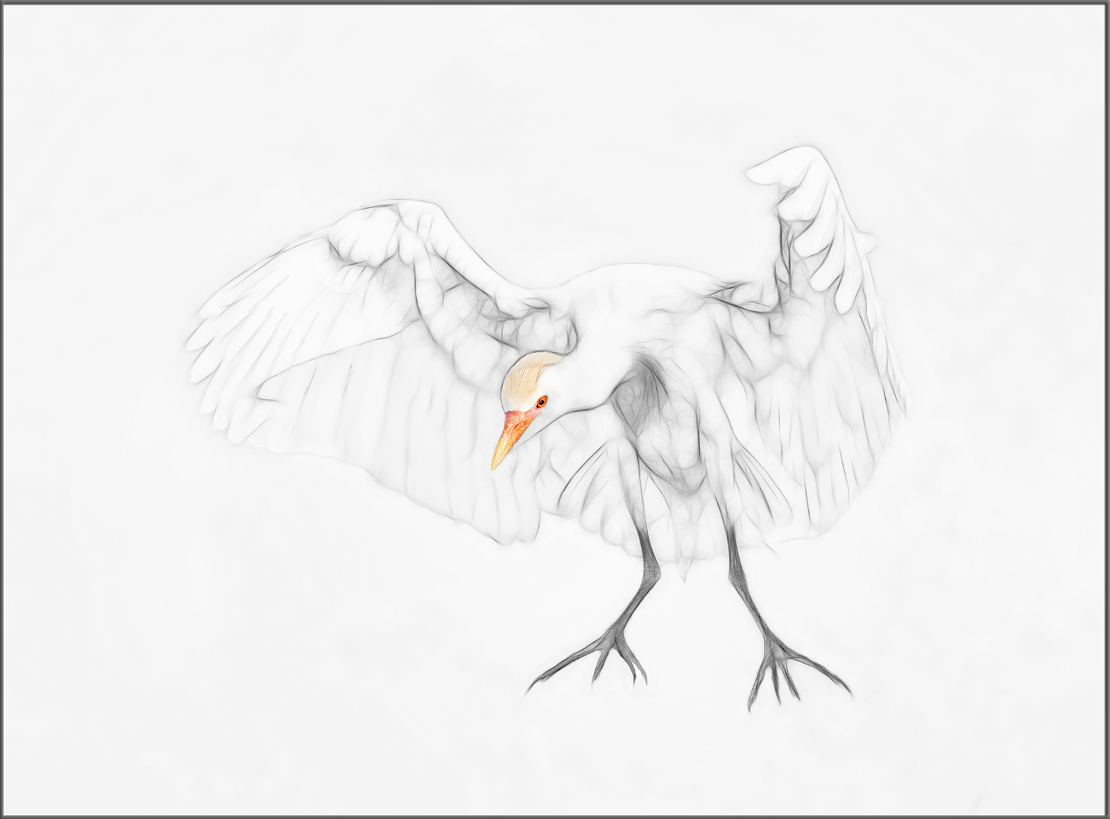 Incoming (w/ original) 