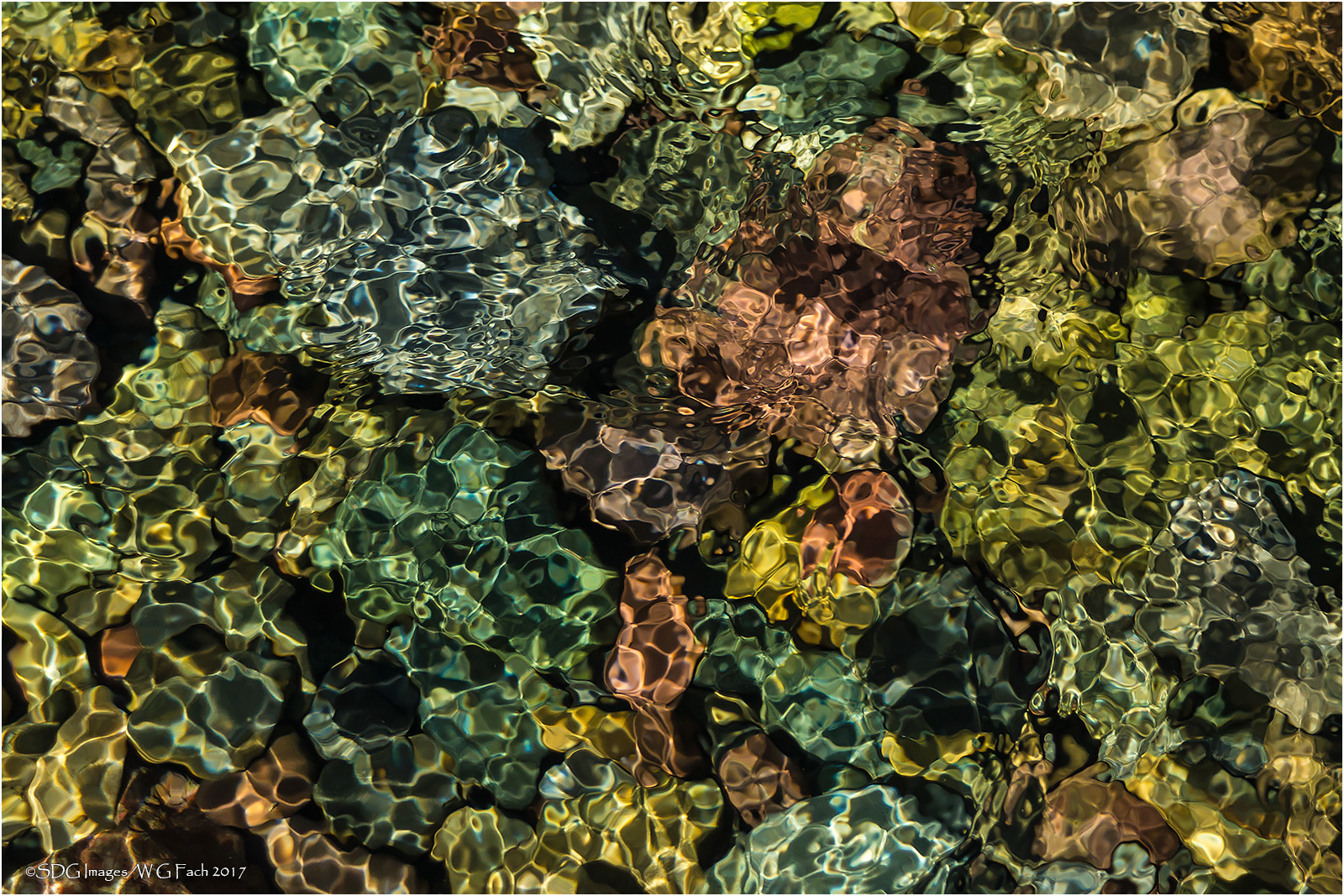 Mosaic