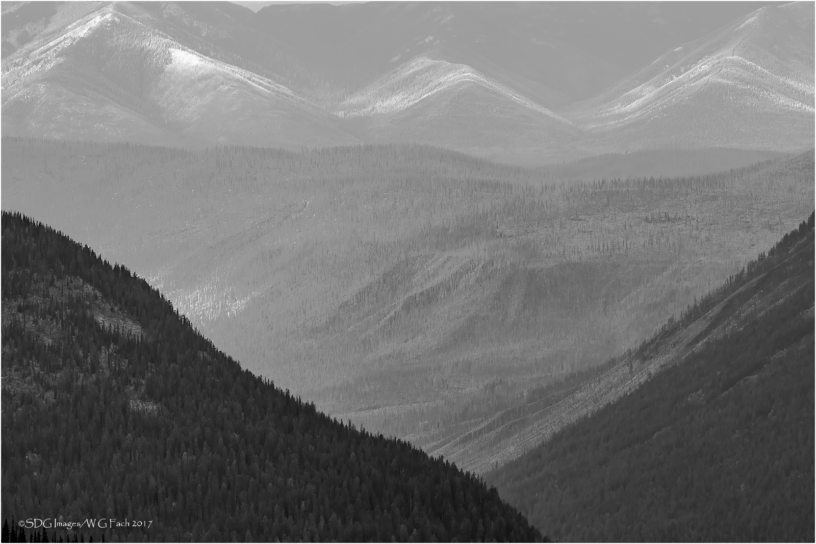 Long View 2