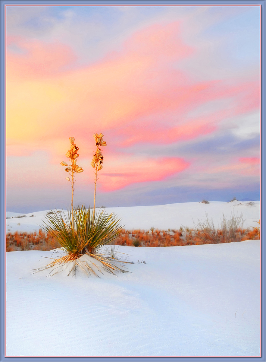 WC#774 - Dunes