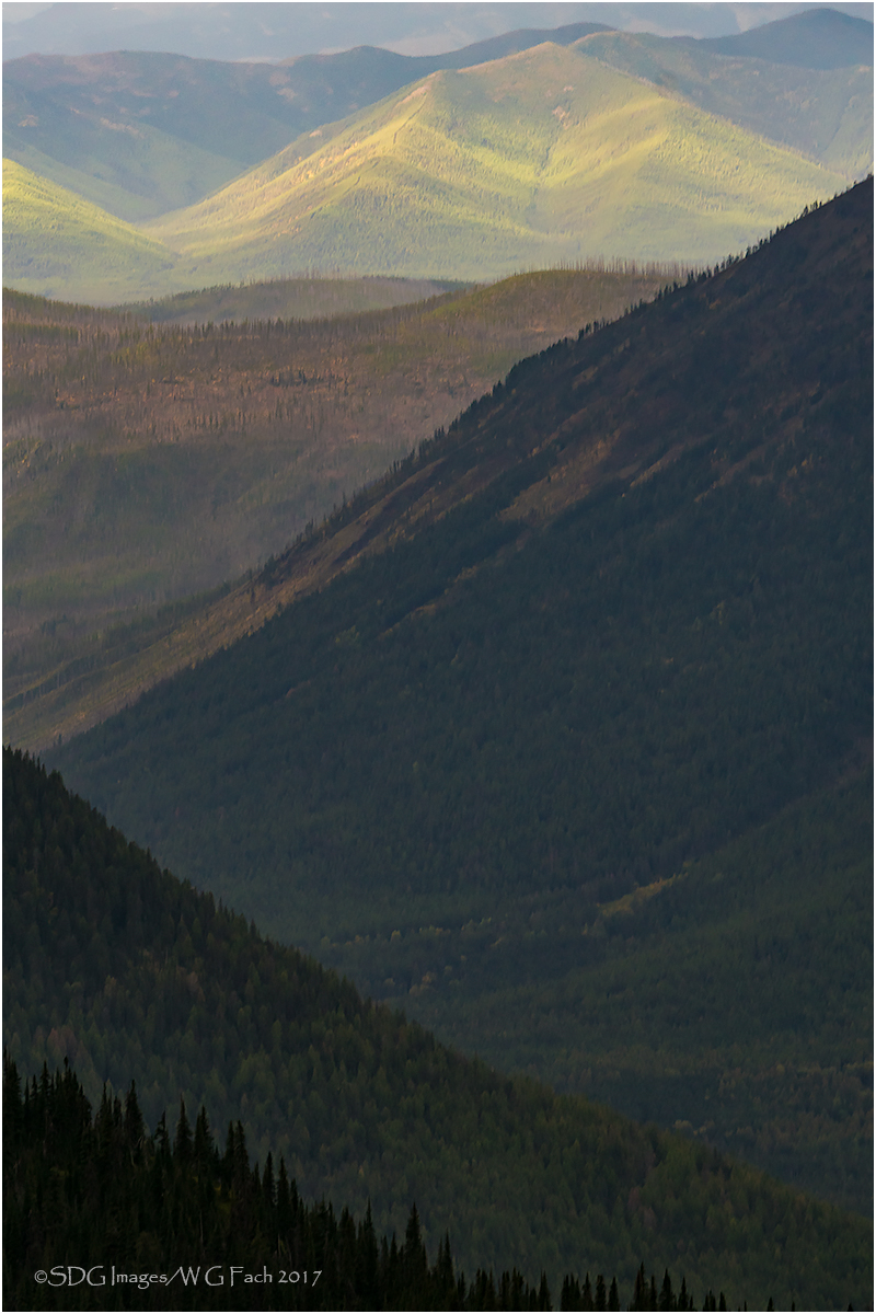 Long View 3a