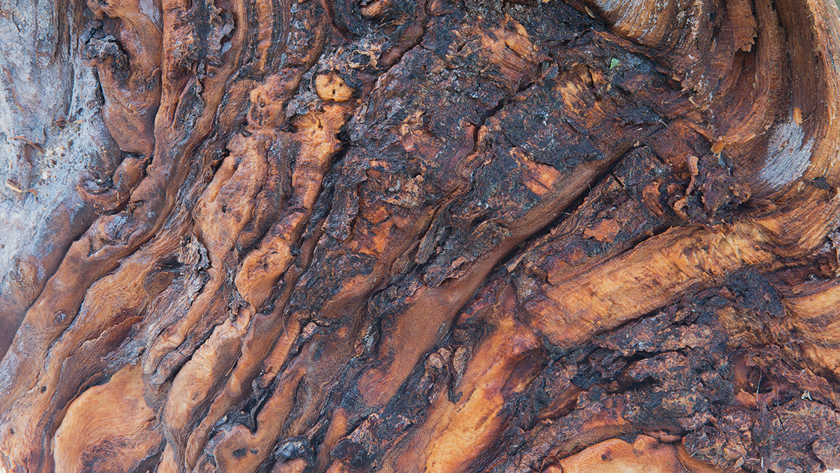 Firewood Revisited + Another Repost :)