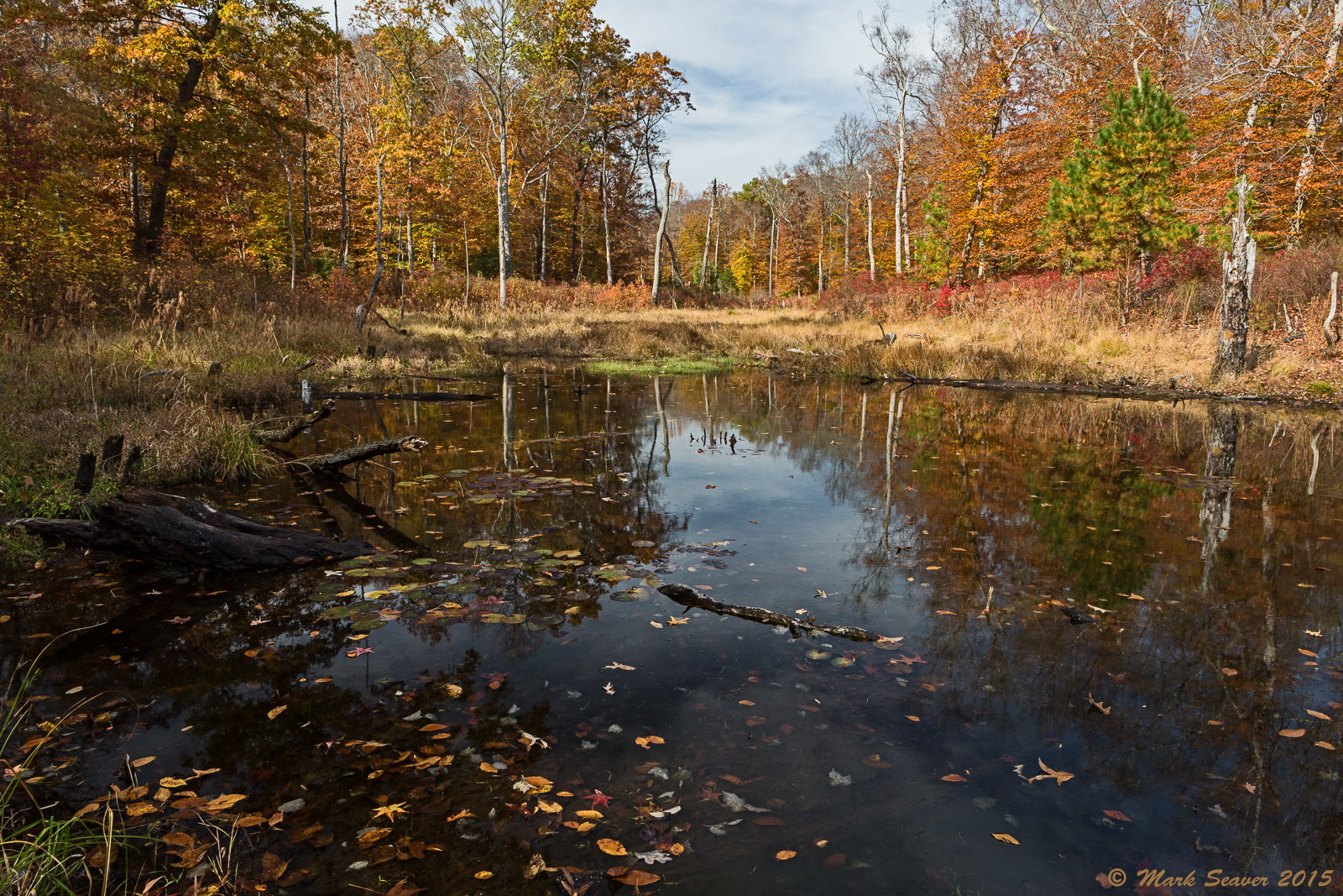 Peeper Pond