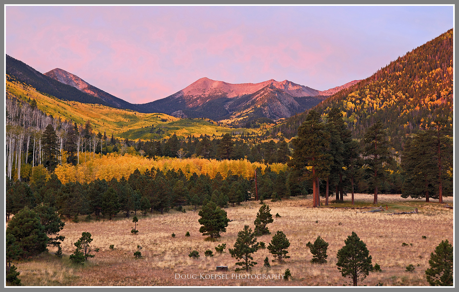 Lockett Meadow local#775