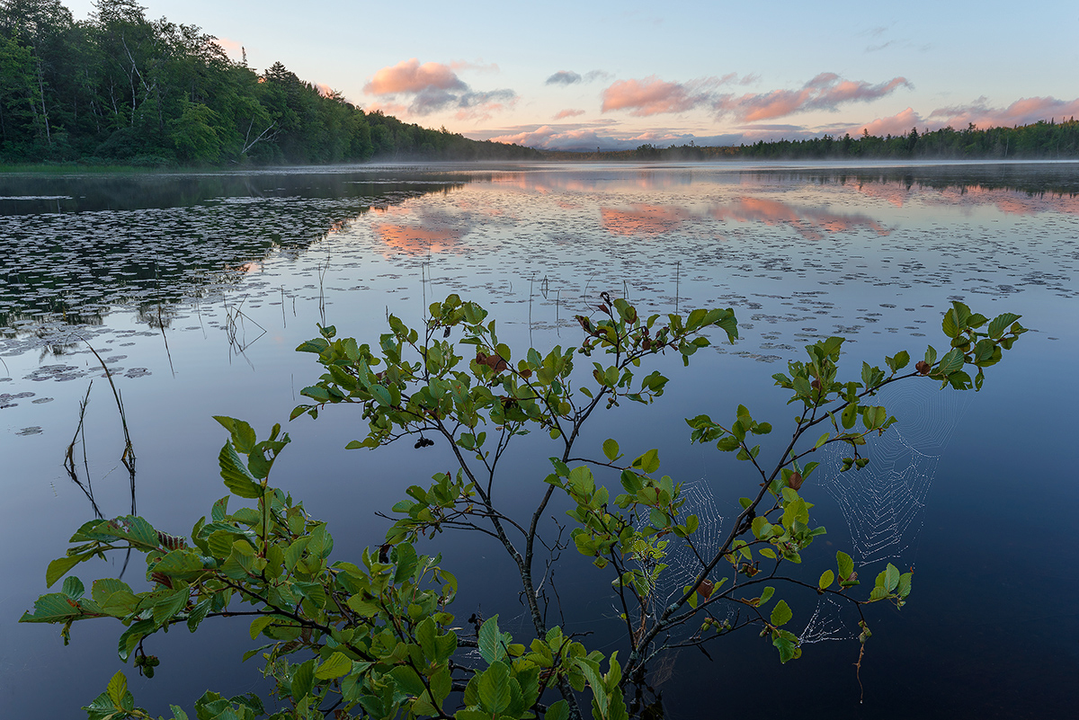 Confluence