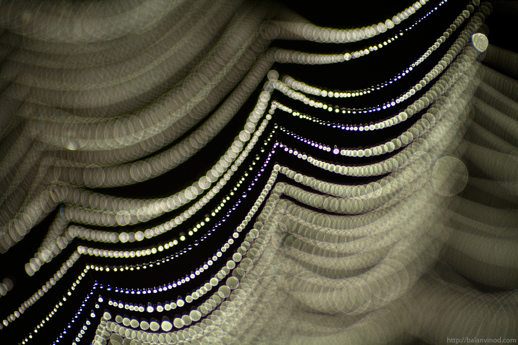 Web Curtain