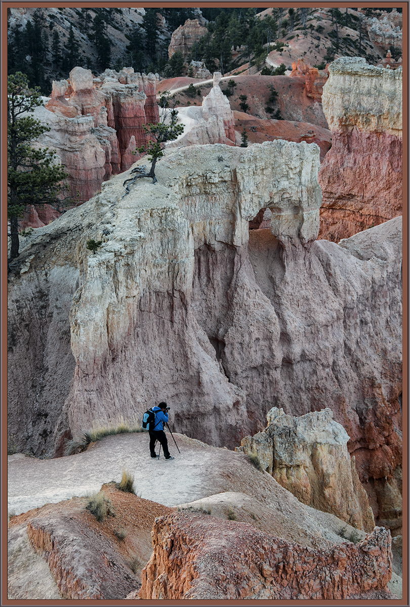 Alternative Canyon