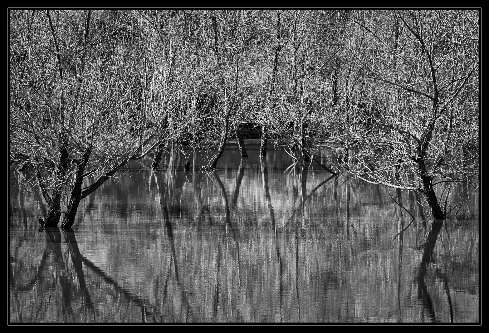 Inundated