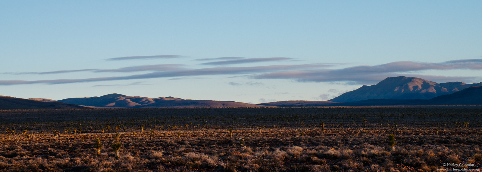 Serene Desert Dawn
