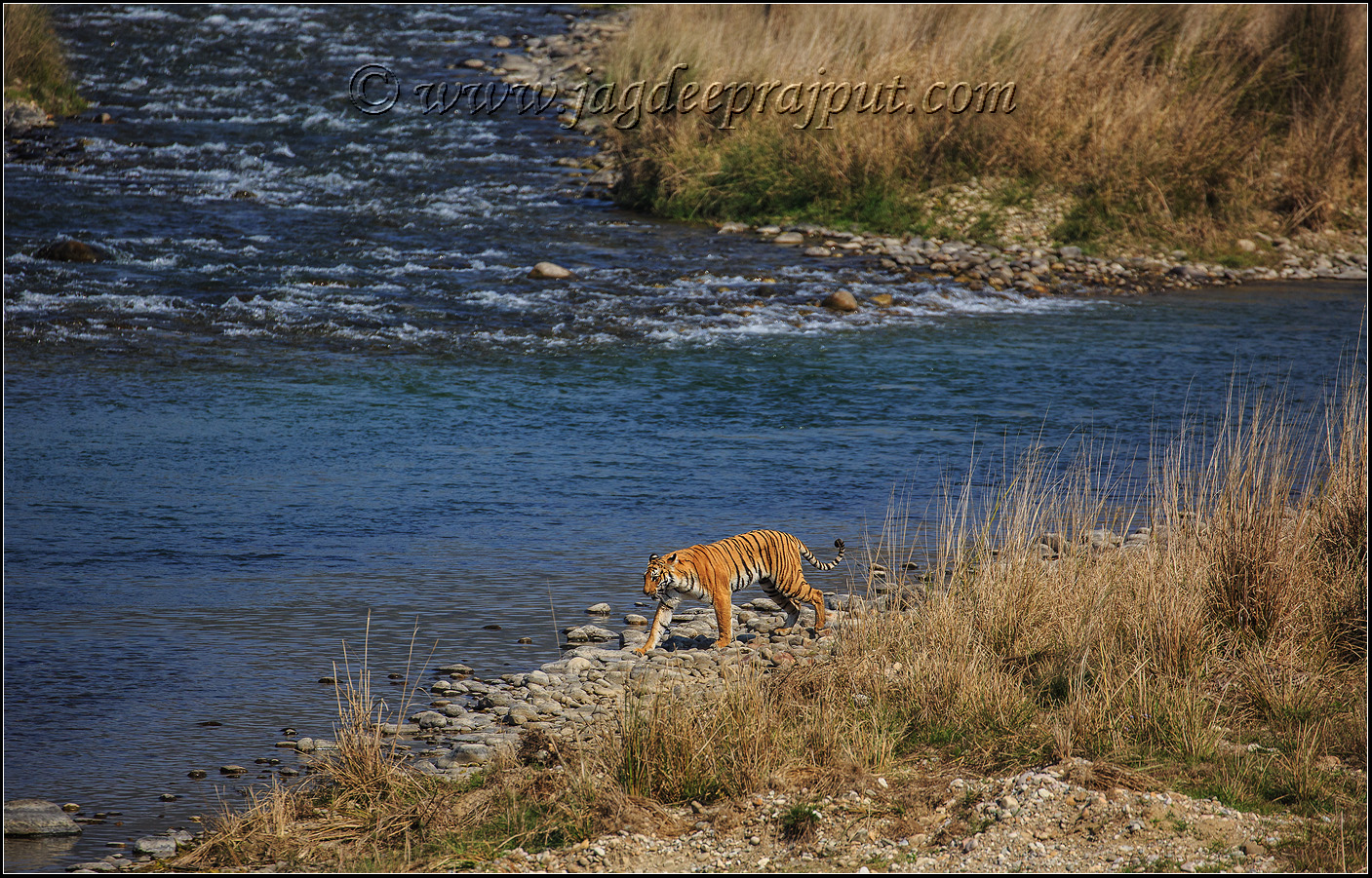 On the banks of Ramganga