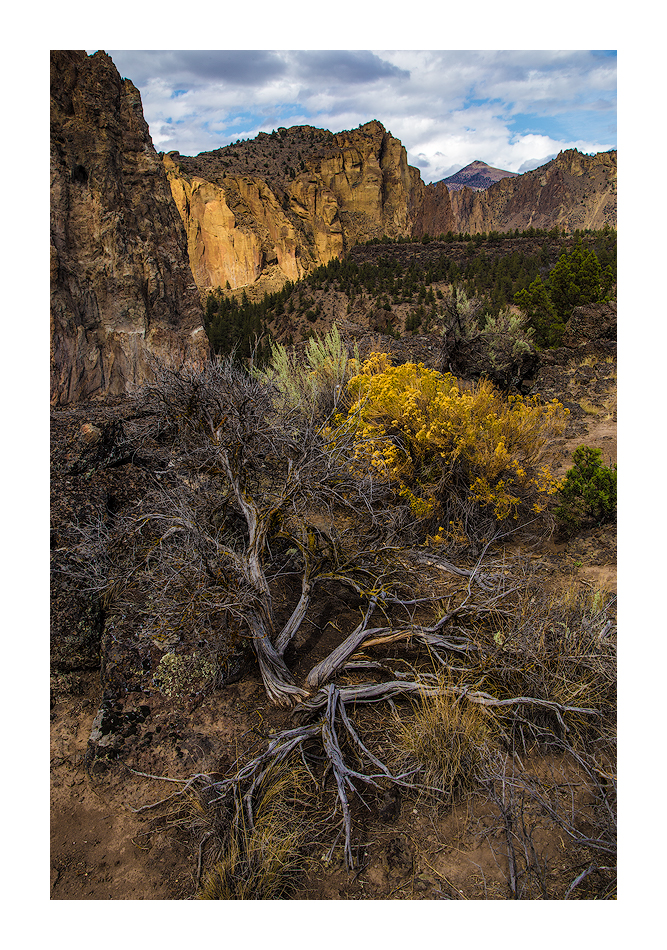 Sage at Smith Rock