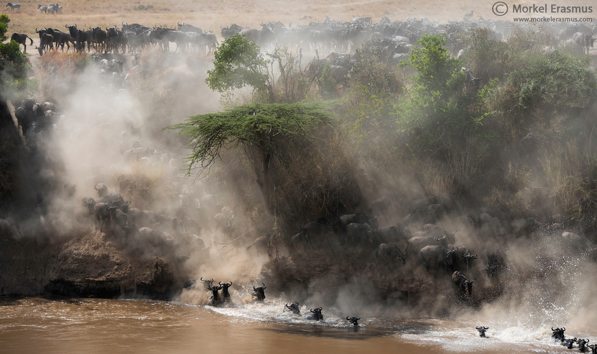 Migrations in the Mist