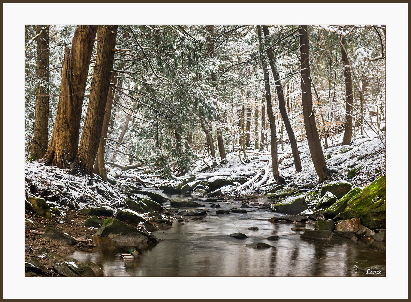 Flash Snow 2 