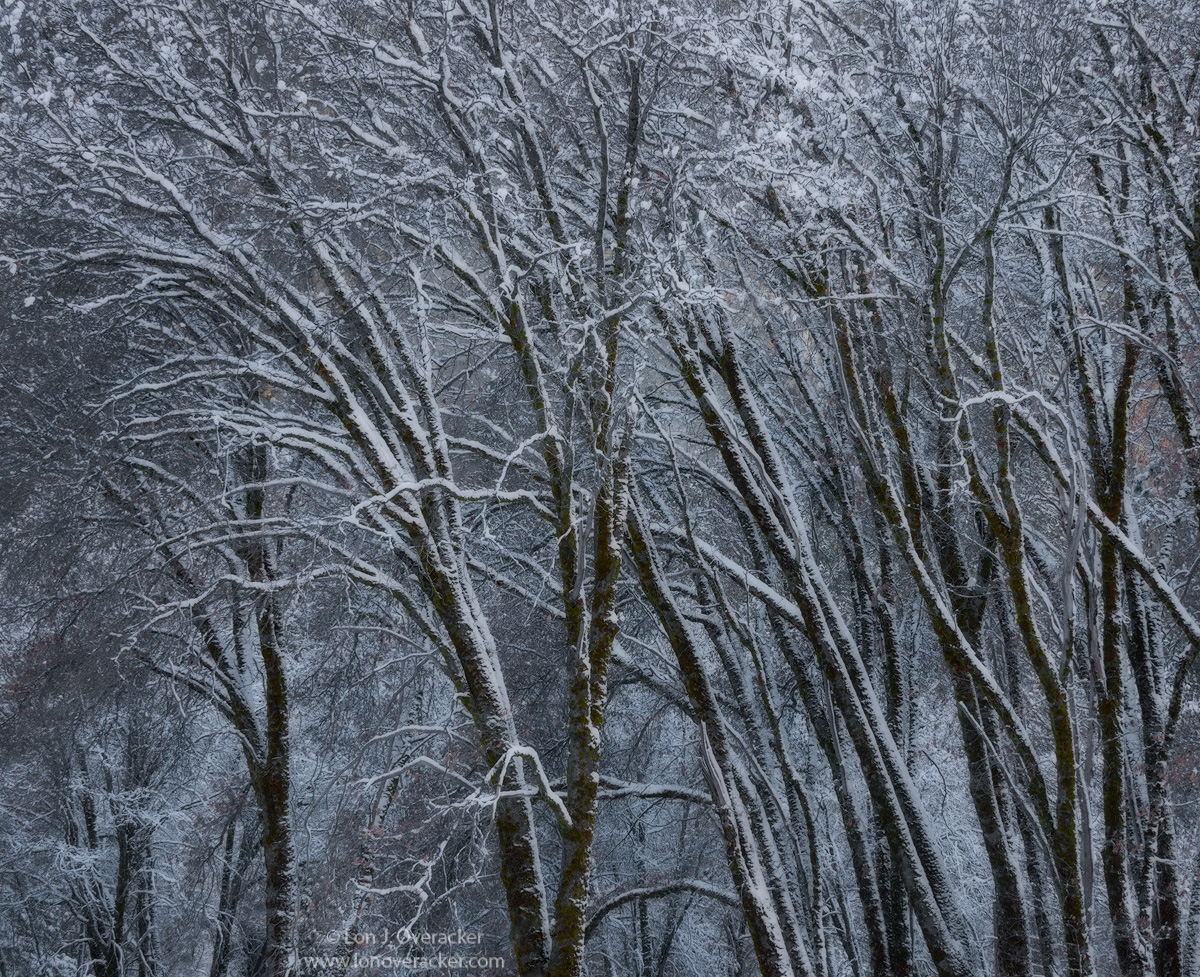 A Winter's Day....