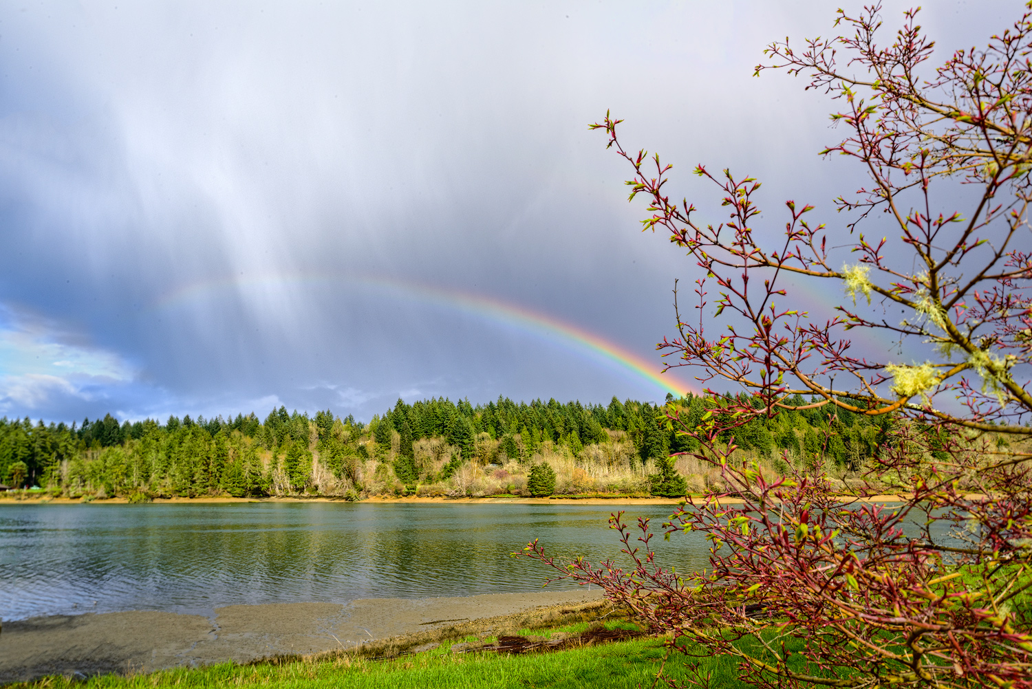 Stormy Rainbow