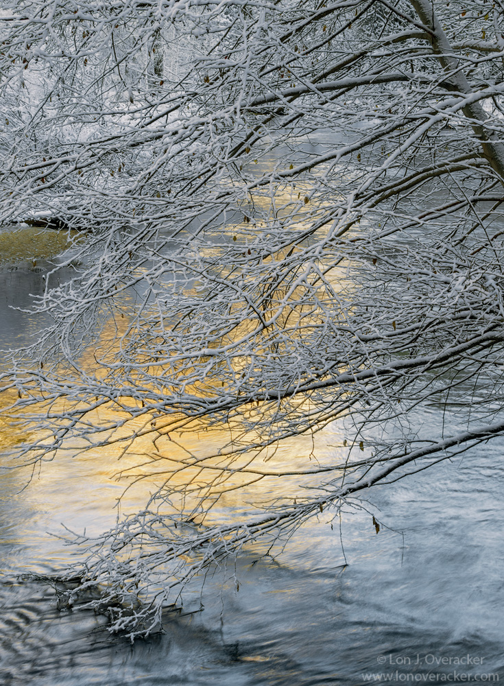 Warm Reflections