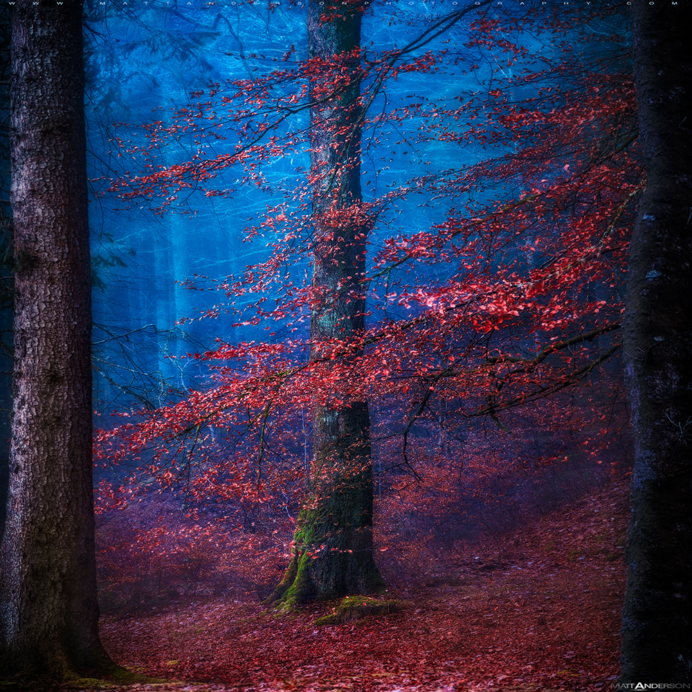Into the Mystic #3