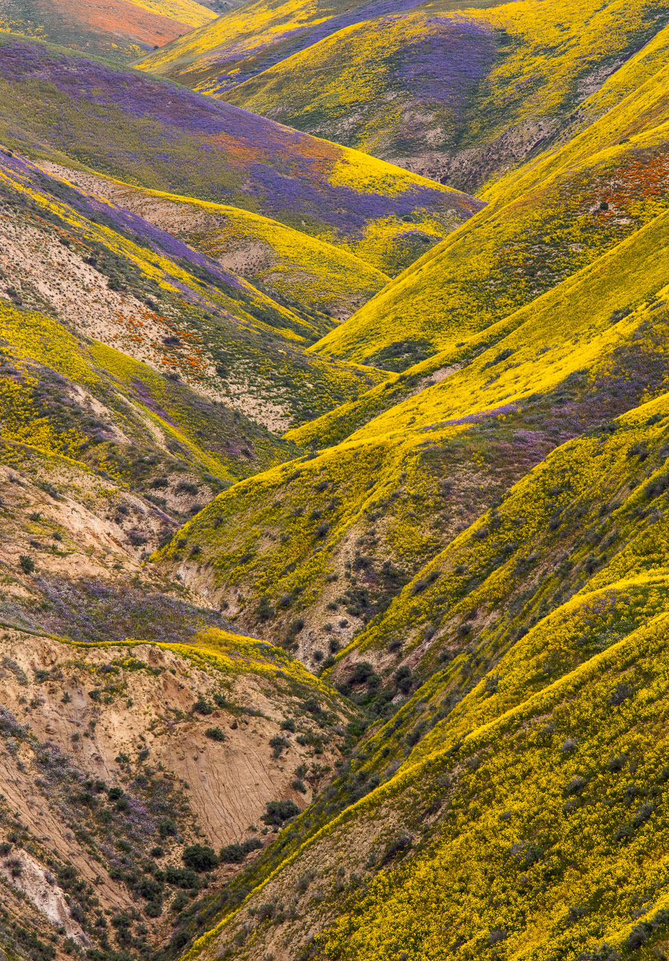 Colors of Carrizo