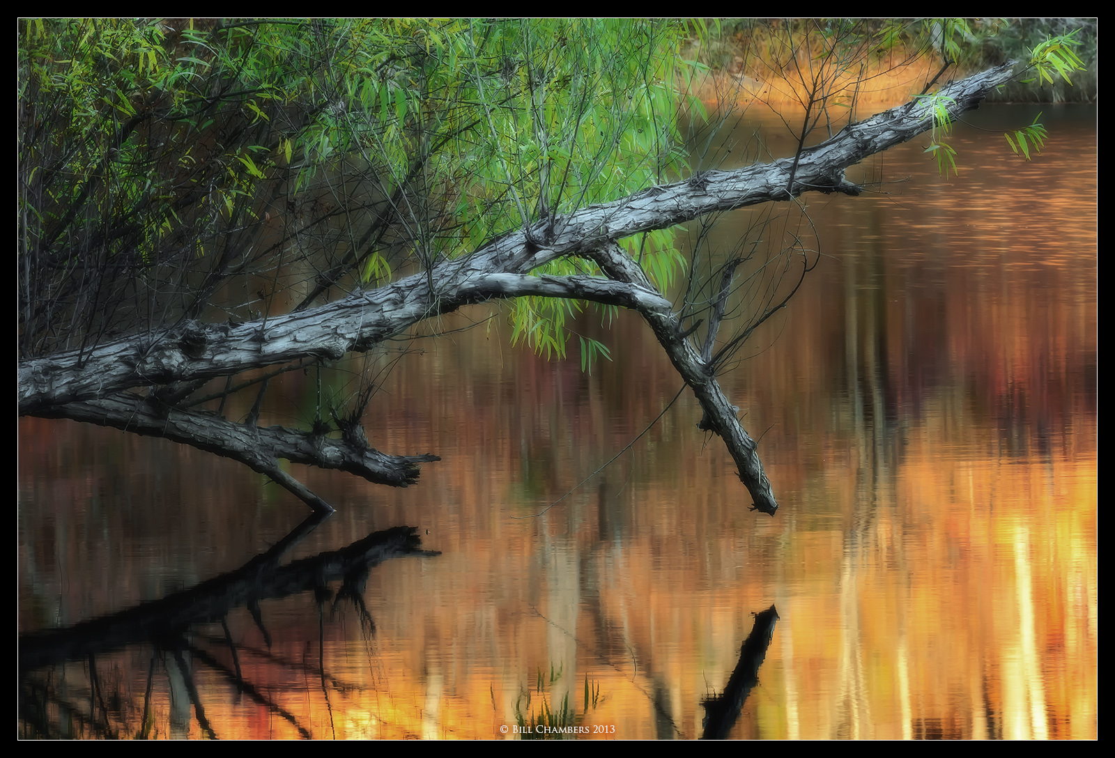 Limb Reflection