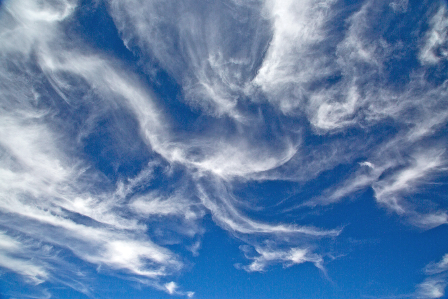 Cirrus Sky