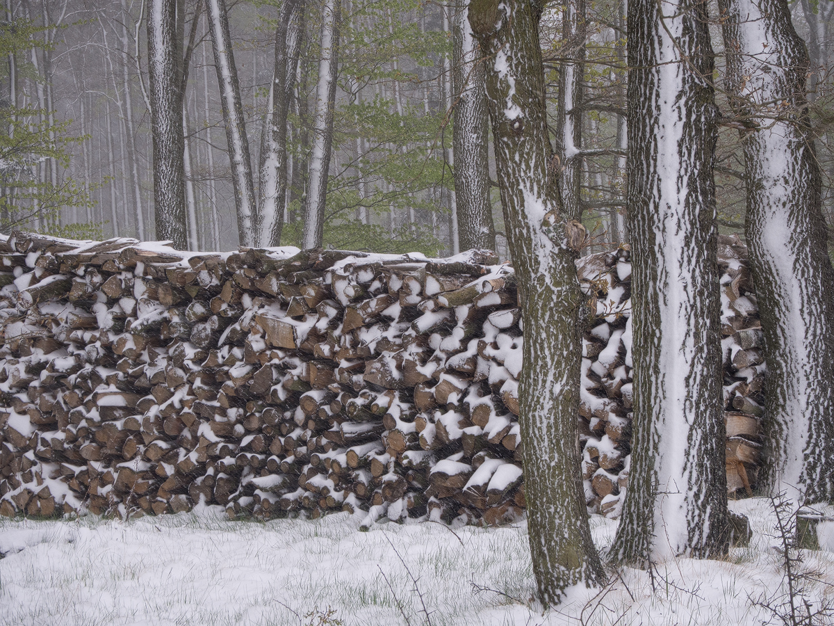 Snow in April