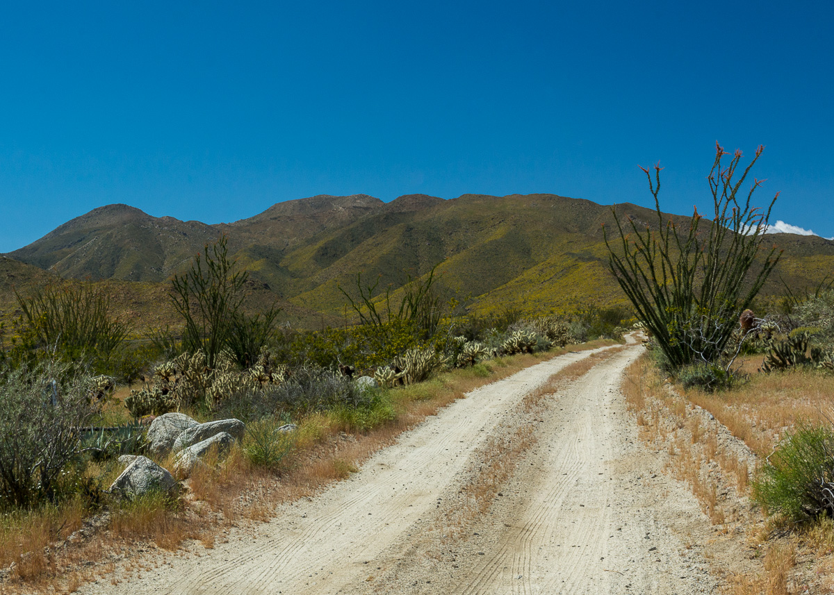 Anza Borrego 