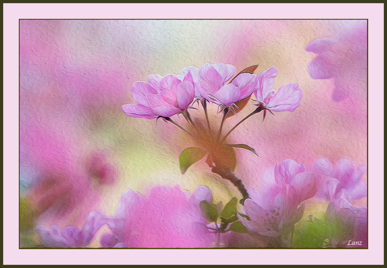 Blossom Time PA