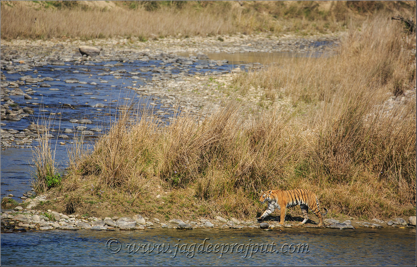 On the banks of Ramganga