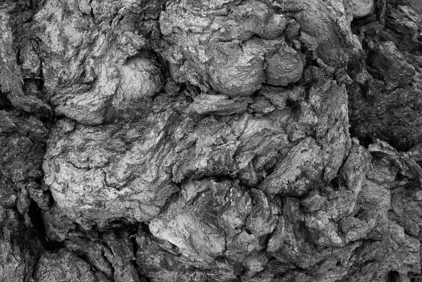 B&W textured Face