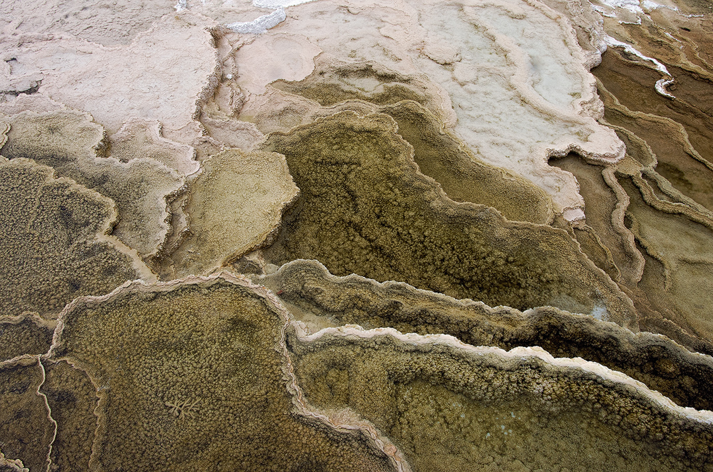 Hot Spring Overflow