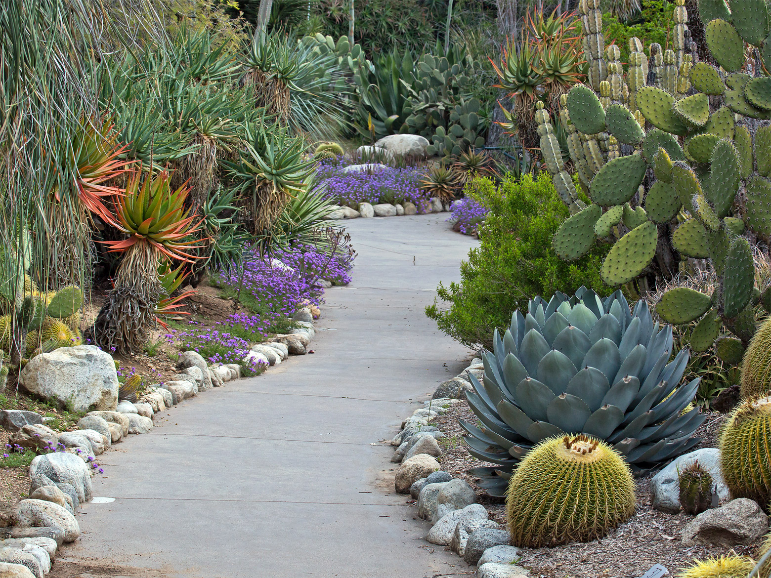 Garden Path + Repost