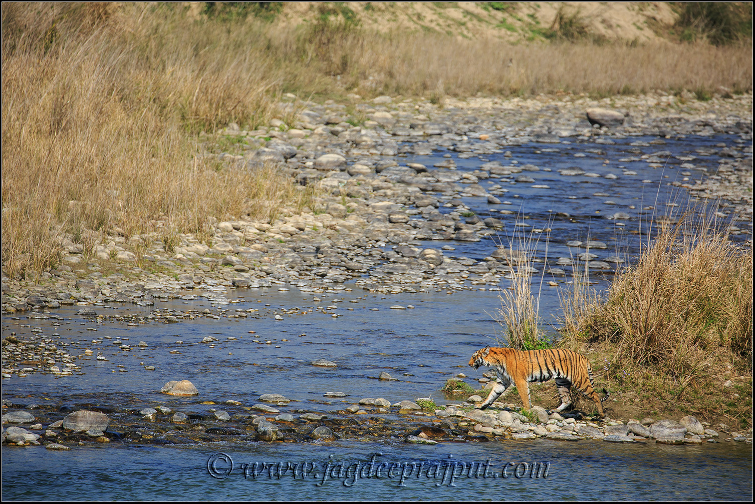 On the banks of Ramganga 2