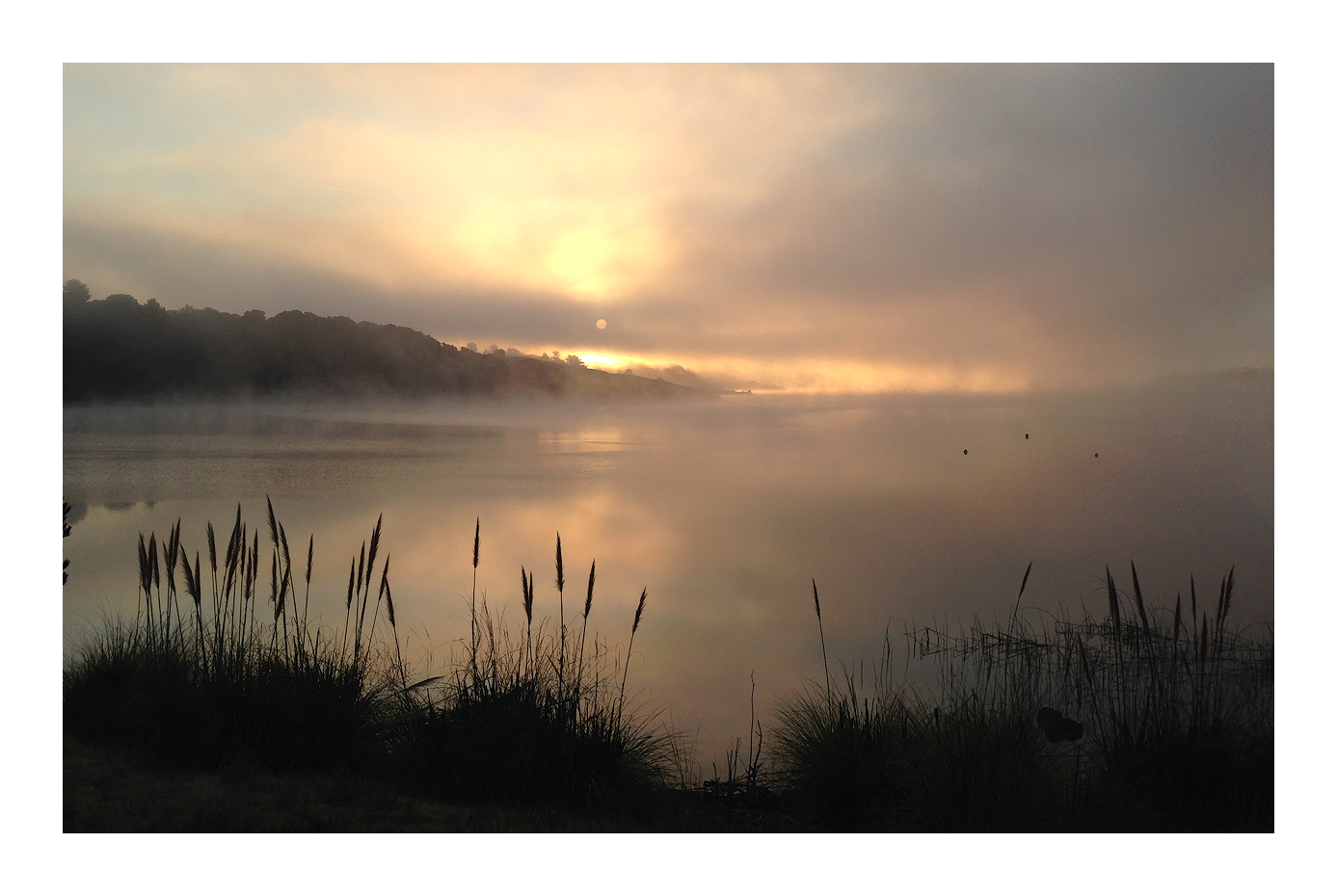 Morning Stop