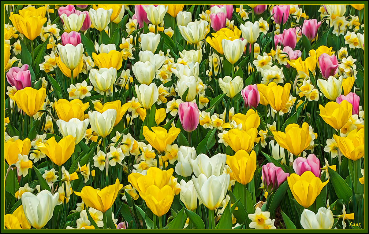 Spring Mix PA