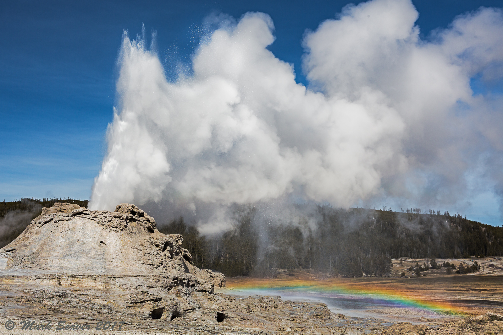 Castle Geyser erupts