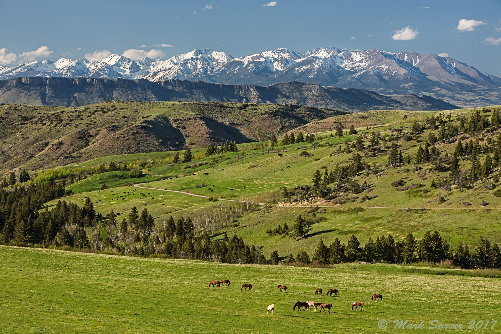 Spring on Mission Creek