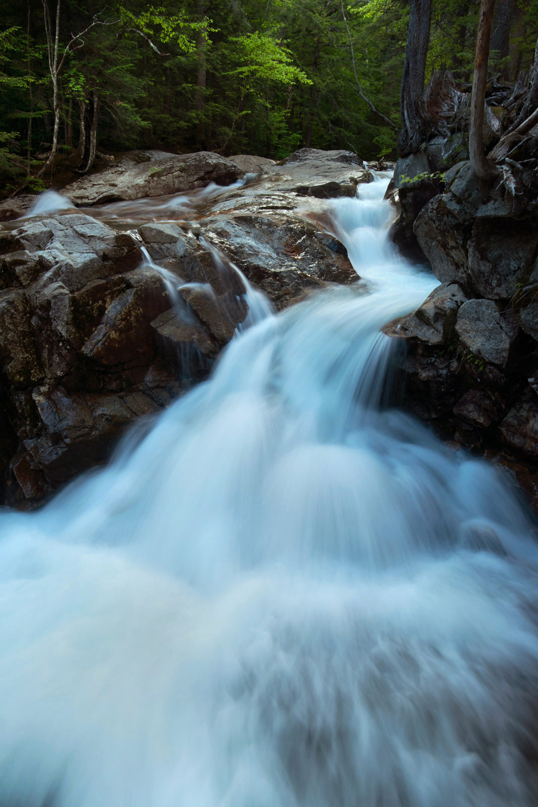 Pemigewasset River + repost