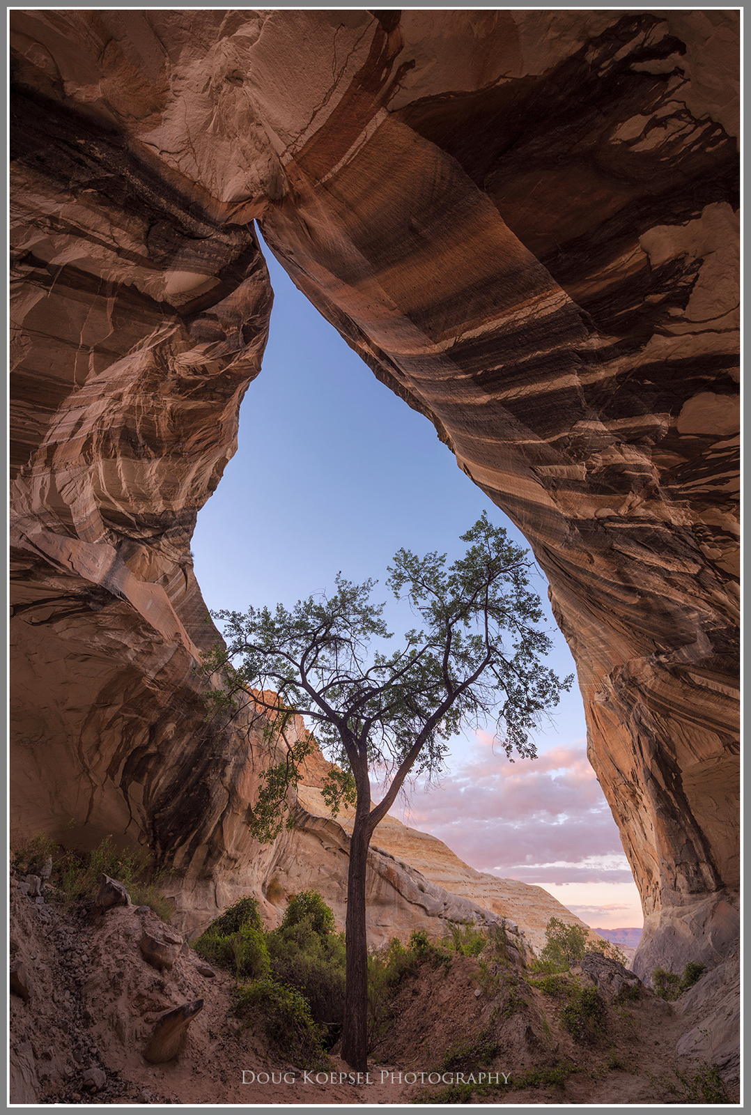 Alcove of Respite