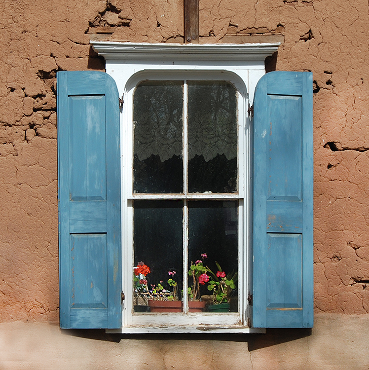 Flowers In Window