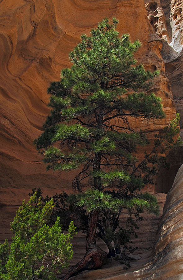 Out Of The Rock