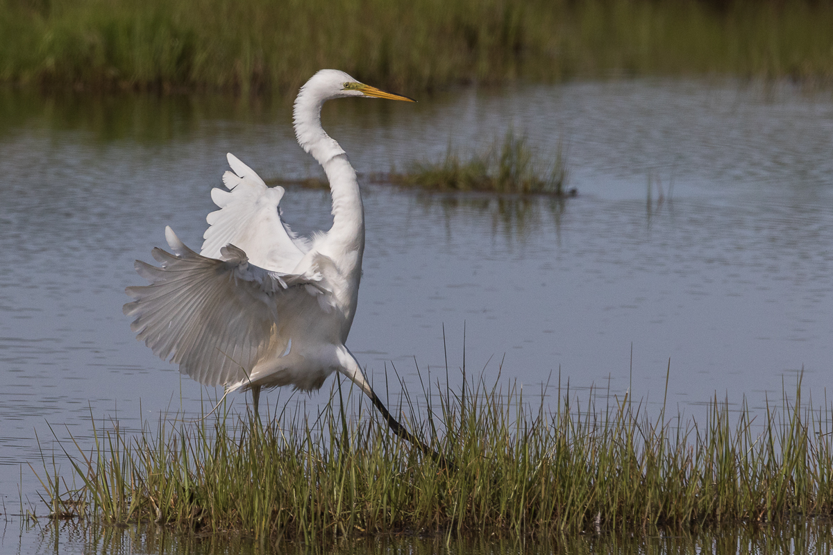 Landing 2