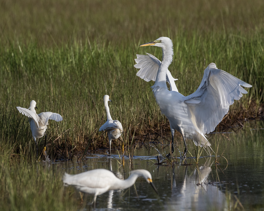 last of the landing