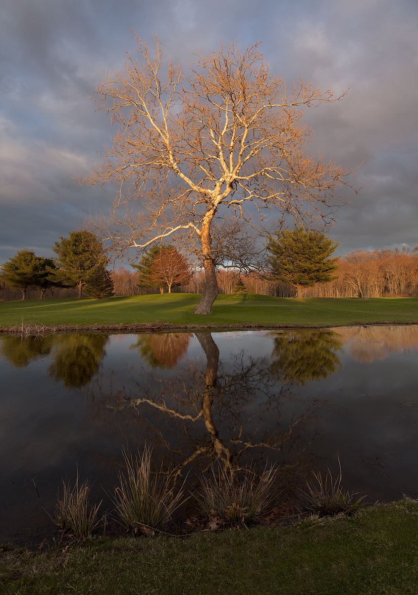 Storm Light