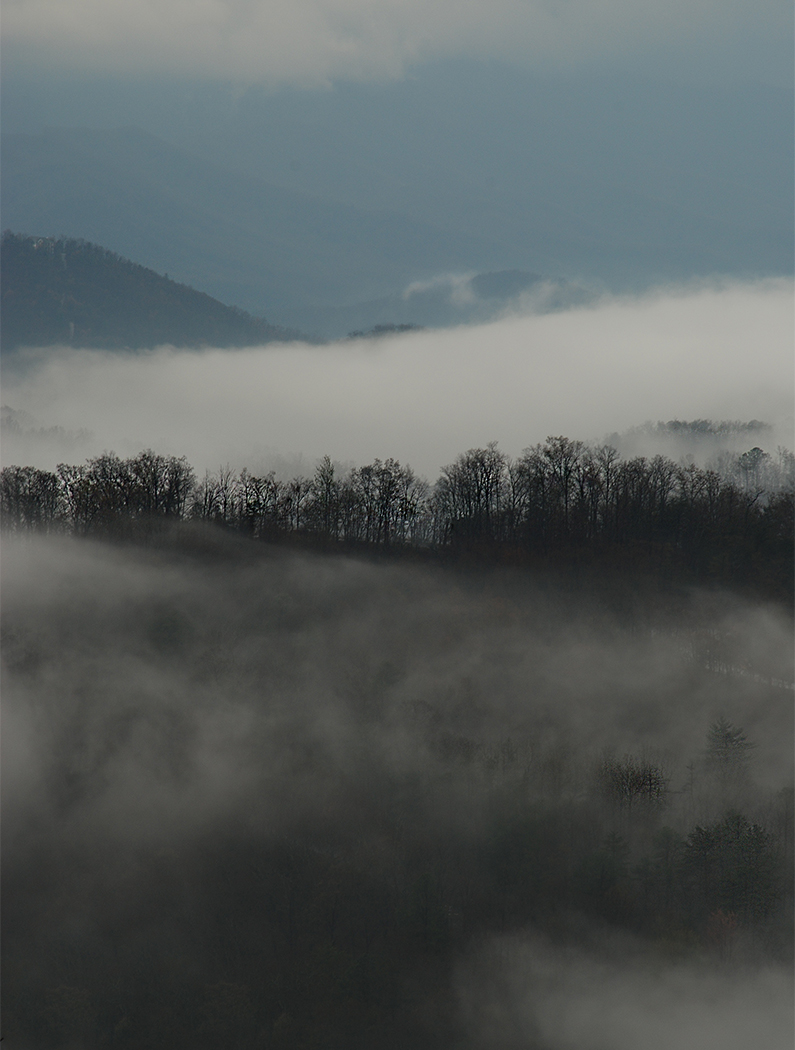 Early Morning Fog