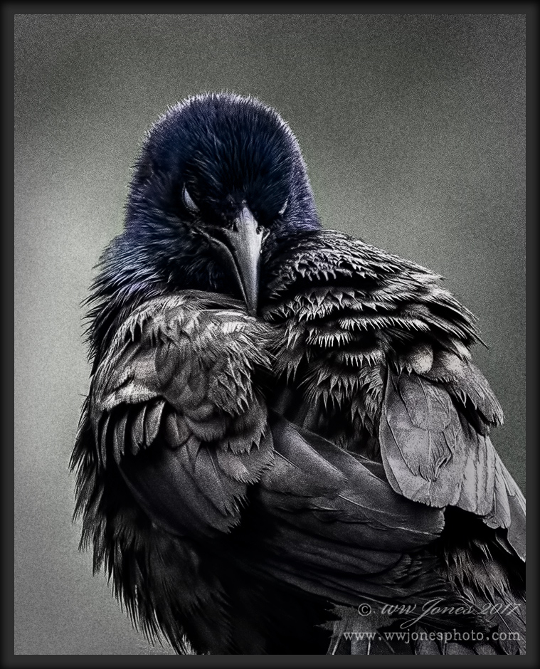 Sinister