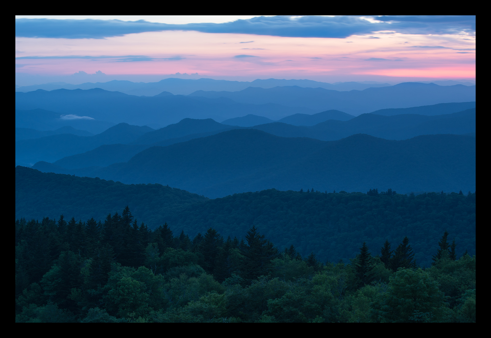 Twilight Beauty